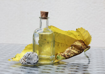 Still life with vintage glass bottle, yellow wilted leaf and small grey pebble stone. Shallow selective focus and place for text.