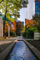Modern Glass Building With Autumn Tree Reflection: Contemporary Architecture And Vibrant Yellow Foliage Creating A Striking Urban Contrast
