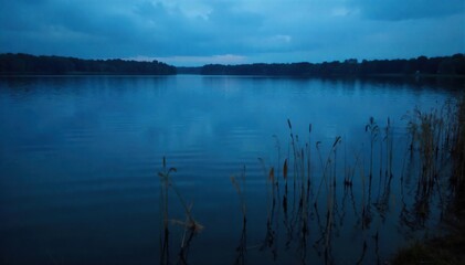 Ripples on the surface of a still pond at dusk, with subtle reflections of surrounding reeds and twilight sky. Close up, high angle view of subtle, concentric ripples on the still, dark surface of a