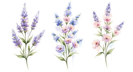Naklejka premium Delicate watercolor floral arrangements featuring lavender and pink blooms isolated on white background