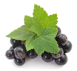 Black currant berries with green leaves isolated on white background