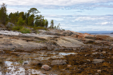 White Sea at low tide on summer. Russia