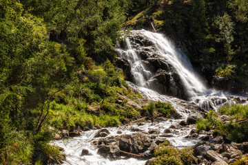 Summer landscape with a mountain river. Altai, Russia