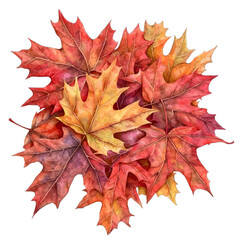 Watercolor Autumn Maple Leaves Clipart: Rustic Fall Foliage
