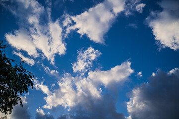 Obraz premium 가을 구름 