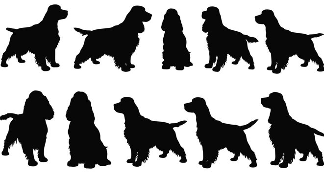 Collection of cocker spaniel dog silhouettes isolated on white background