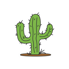 Cartoon cactus plant vector isolated illustration