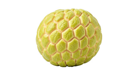 Isolated whole custard apple tropical fruit for fresh cooking, baking and dessert uses