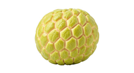 Isolated whole custard apple tropical fruit for fresh cooking, baking and dessert uses