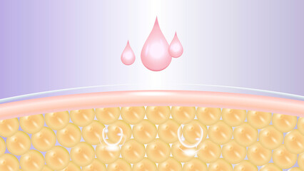 absorption of vitamin cream in skin cells