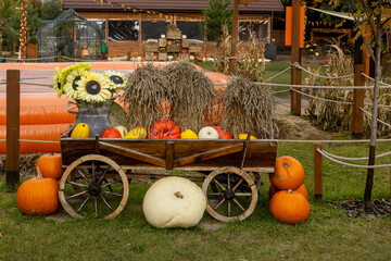 Wooden wagon filled with pumpkins, gourds, and sunflowers at a harvest festival