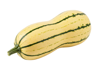 Isolated oblong vegetable with dark-green stripes on pale-yellow peel for culinary use on neutral