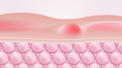 absorption of vitamin cream in skin cells
