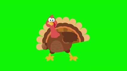 Funny Turkey Bird Cartoon Character Dancing Cheerfully- 4K Animation Video Motion Graphics With Green Screen Background - Powered by Adobe
