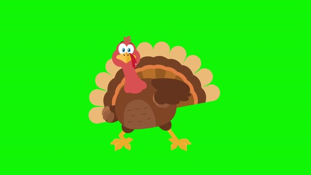Funny Turkey Bird Cartoon Character Dancing Cheerfully- 4K Animation Video Motion Graphics With Green Screen Background
