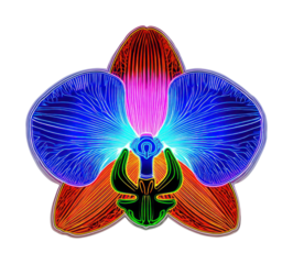 PNG Vibrant neon orchid illustration