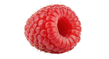 Isolated juicy red raspberry fruit with hole in middle, healthy and fresh berry food item