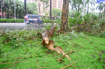 Devastation in Jiangmen: Aftermath of Super Typhoon Ragasa Strikes Guangdong,China.