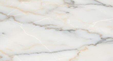 Elegant white marble texture with natural veins perfect for background use