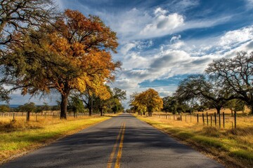 Fototapeta premium Fredericksburg Texas Farm Road: Autumn Landscape with Trees and Sky