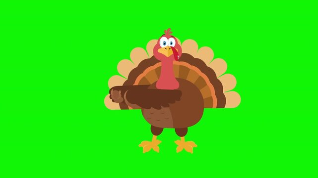 Funny Turkey Bird Cartoon Character Dancing Cheerfully- 4K Animation Video Motion Graphics With Green Screen Background