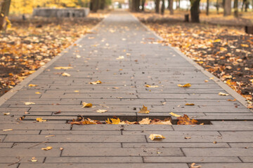 Problems with the paving slabs on the park sidewalk