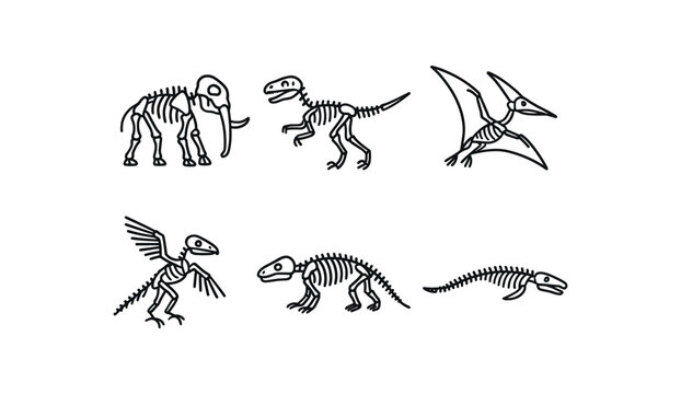 simple outline stroke icon isolated on white background mastodon skeleton Velociraptor skeleton pteranodon skeleton archaeopteryx skeleton giant pangolin skeleton Basilosaurus whale skeleton