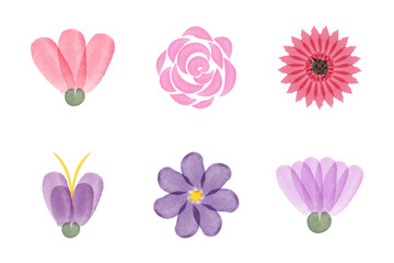 Fototapeta premium Six beautiful watercolor flowers, including pink, red, and purple colors, artistically arranged on a white background. Floral elements of great value for conservation and sustainability.