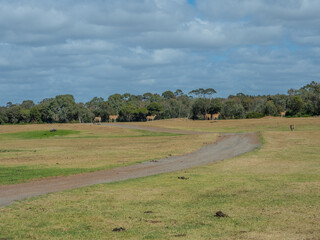Werribee Zoo in Melbourne  Victoria Australia is a beautiful zoo with lots of space for wild animals to roam around 