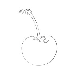 One continuous line drawing on white isolated background. Minimalism linear illustration. cherry, closeup, fruit, isolated, red, berry, fresh, ripe, leaf, sweet