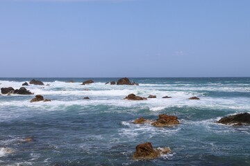 春の佐渡島。藻浦﨑公園。