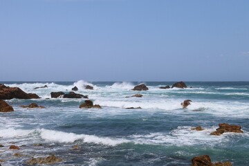 春の佐渡島。藻浦﨑公園。