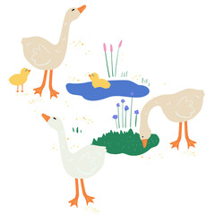 Geese and babies with pond and grass Illustration Vector SVG