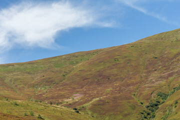 Fototapeta premium Clear Horizon over Borzhava Valley in Early Autumn