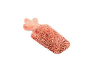 Cancellous bone fragment, showing detailed porous structure, medical concept.