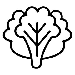 Lettuce vector line icon design