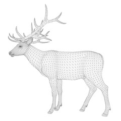 A 3D wireframe model of a deer with detailed antlers stands on a clean white background. This realistic animal mesh is perfect for digital art and design projects.