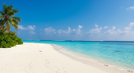 Fototapeta premium Idyllic beach scene with white sand turquoise water and blue sky