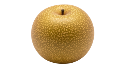 Isolated Asian pear fruit with dark brown stem, distinctive speckled skin, healthy food