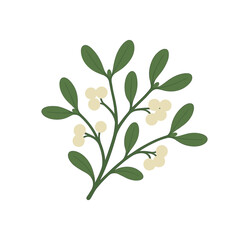 mistletoe branch holiday flat vector illustration style isolated on white background