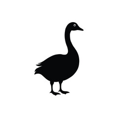 Black silhouette of a standing goose on a white background. Simple bird icon symbolizing wildlife, nature, and minimalistic animal design for use in logos, prints, and illustrations.