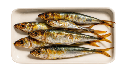  Anchovy fish preparation on an oven pan isolated on a white background