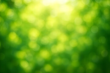 Fototapeta premium Blurred Green Foliage Under Natural Sunlight