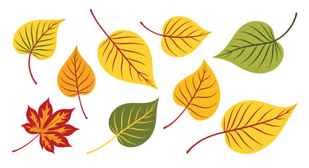 Various colorful autumn leaves in different shapes and sizes.