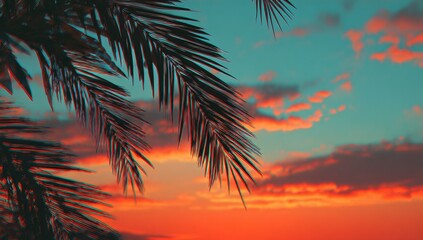 Palm leaves silhouetted against a vibrant sunset sky
