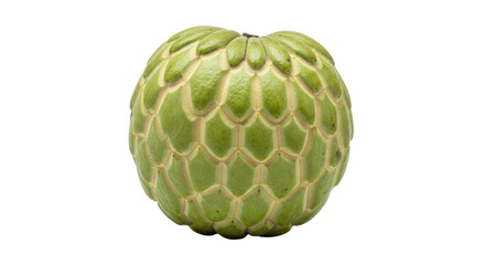 Isolated Custard apple fruit, also known as sugar apple or sweetsop, on a plain surface