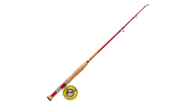 Isolated fishing rod, reel and handle, for catching sport fish for recreational use