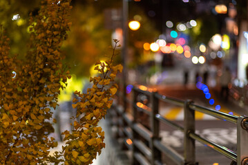 Autumn Ginkgo Leaves and City Lights at Night