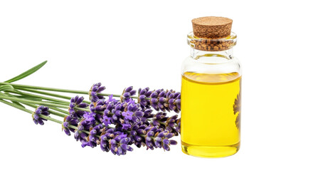 Isolated lavender essence bottle with cork stopper, beside a bunch of fresh lavender stems