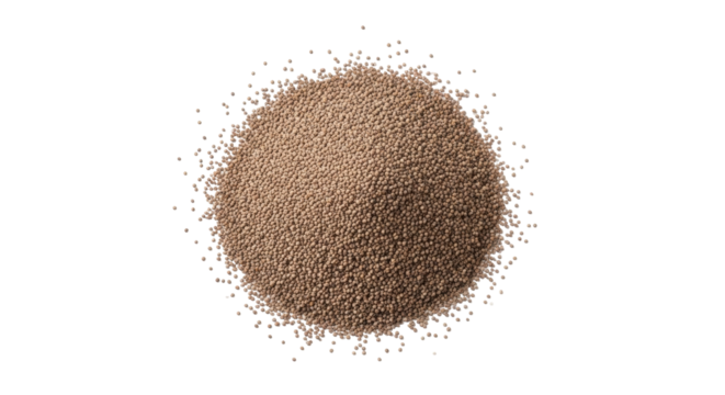 Isolated pile of tan or light brown tiny spheres, resembling beads, seeds, or grains